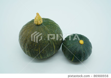 Two harvested pumpkin nuts 2 Two harvested pumpkin nuts 2 86988938