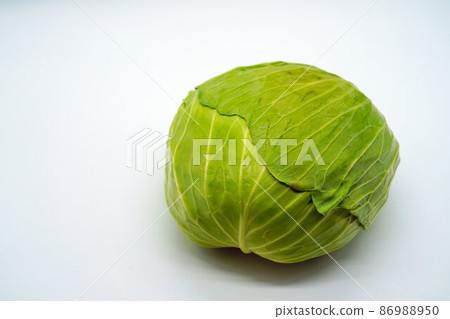 收穫的白菜 3 收穫的白菜 3 86988950