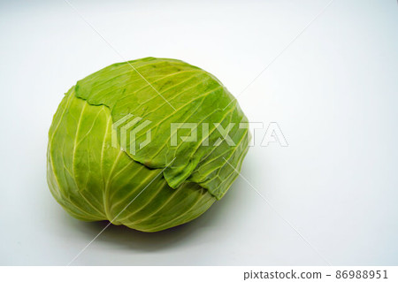 Harvested cabbage 4 Harvested cabbage 4 86988951