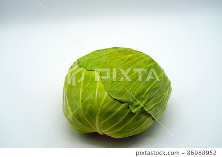 Harvested cabbage 5 Harvested cabbage 5 86988952