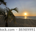 The sun, the sea, the beach, and the palm trees 86989991