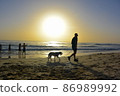 Dog and walk on the beach of Asahi 86989992