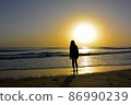 Coastal sunrise and silhouette 86990239