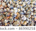 Lots of natural lajonkai 86990258