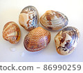 Natural asari 86990259