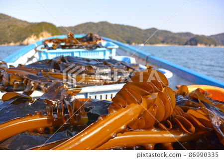 Natural seaweed and mekabu harvested on the ship 86990335