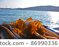 Natural seaweed and mekabu harvested on the ship 86990336