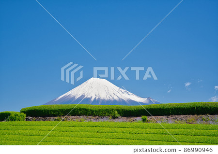 [靜岡縣] 5月·富士山和藍天茶園，您可以充分享受大自然 86990946