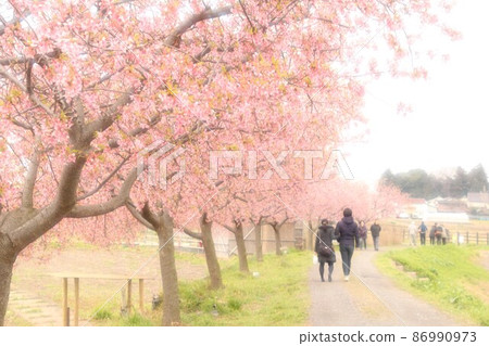 鮮花和人 86990973