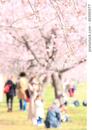 鮮花和人 鮮花和人 86990977