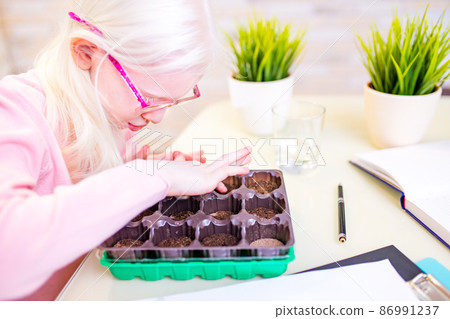 blonde albino young little farmer planting at home blonde albino young little farmer planting at home 86991237