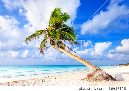 Riviera Maya, Mexico - Playa Paraiso 86992138