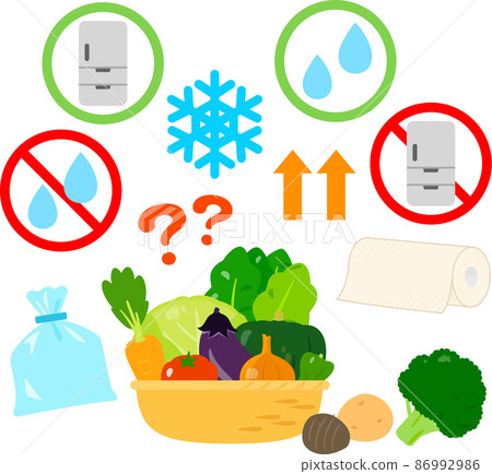 Image of how to store vegetables 86992986