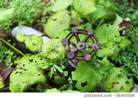 Rusted water valve Rusted water valve 86993086