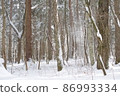 有雪的森林 86993334