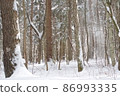 有雪的森林 86993335