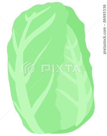 大白菜蔬菜食品插圖 大白菜蔬菜食品插圖 86993336