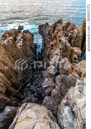 [Fukui Prefecture] Sakai City Tojinbo on a precipitous cliff 86993372