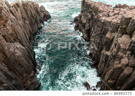 [Fukui Prefecture] Sakai City Tojinbo on a precipitous cliff 86993373