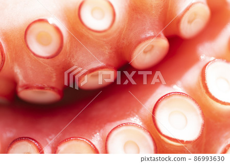 Boiled octopus legs Boiled octopus legs 86993630