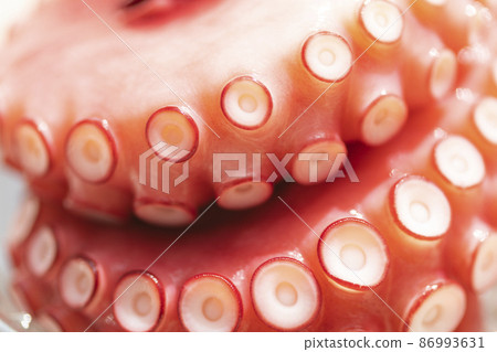 水煮章魚腿照片素材 水煮章魚腿照片素材 86993631