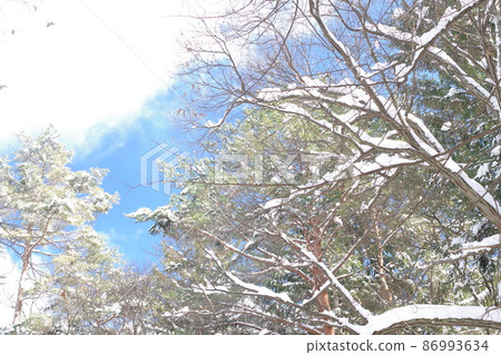 Winter blue sky and clouds 86993634