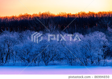 Hokkaido winter scenery: Rime on Sarabetsu village 86994850