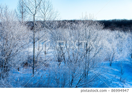 Hokkaido winter scenery: Rime on Sarabetsu village 86994947
