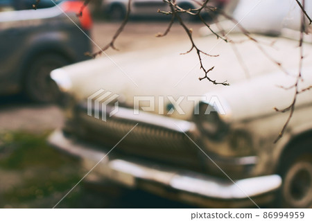 Tiny leafless early spring brunch on old vintage car background Tiny leafless early spring brunch on old vintage car background 86994959