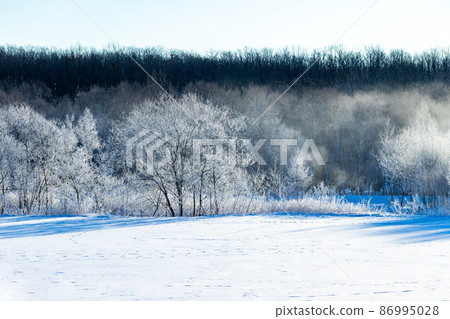 Hokkaido winter scenery: Rime on Sarabetsu village 86995028
