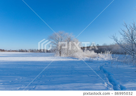 Hokkaido winter scenery: Rime on Sarabetsu village 86995032