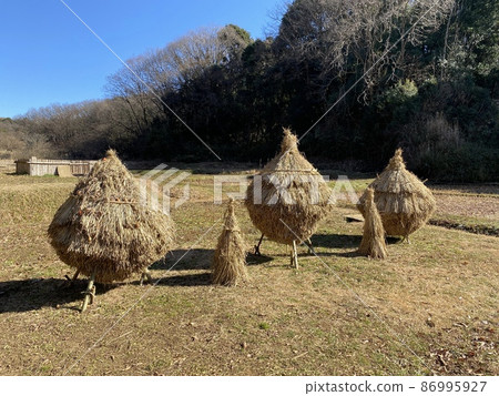 東京町田 Narabai Tanito 的稻草堆放 東京町田 Narabai Tanito 的稻草堆放 86995927