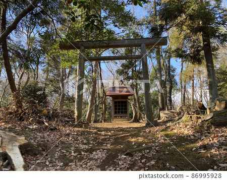 Nara Bai Tanito, Machida City, Tokyo, Onoji Castle Shrine Nara Bai Tanito, Machida City, Tokyo, Onoji Castle Shrine 86995928
