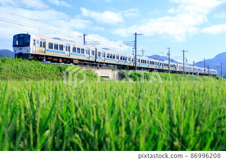 田園風光和通勤列車（JR九州811系列） 86996208
