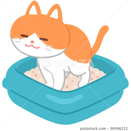 A cat that needs to be in the toilet 86996252