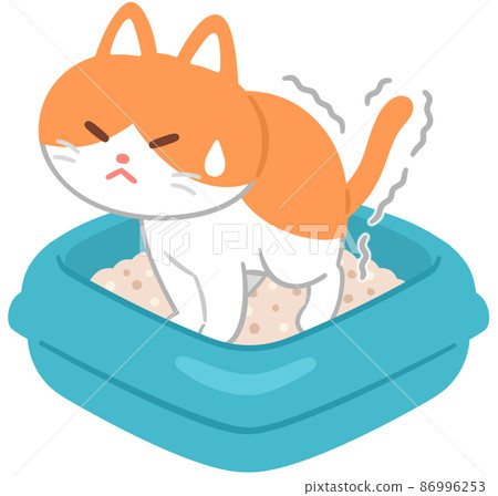 Cats go to the toilet 86996253