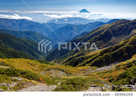 View of the yellow leaves of Betula ermanii and Mt. Fuji near the summit of Mt. Kitadake in the Southern Alps View of the yellow leaves of Betula ermanii and Mt. Fuji near the summit of Mt. Kitadake in the Southern Alps 86996269