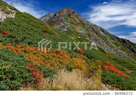 Autumn-colored Mt. Kitadake summit seen from Kitadake Sanso in the Southern Alps 86996272