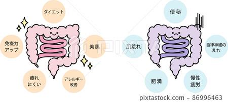 Illustration of intestinal environment 86996463