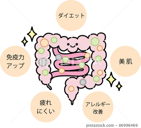Illustration of intestinal environment Illustration of intestinal environment 86996469