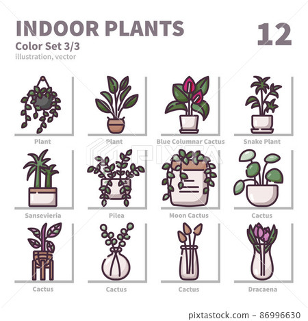 Indoor Plants icons set, Color, vector and illustration set 3 Indoor Plants icons set, Color, vector and illustration set 3 86996630