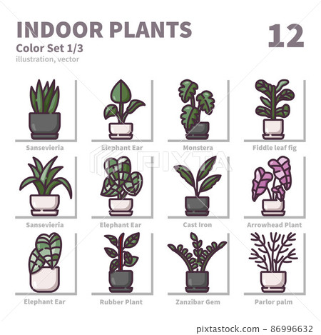Indoor Plants icons set, Color, vector and illustration set 1 86996632