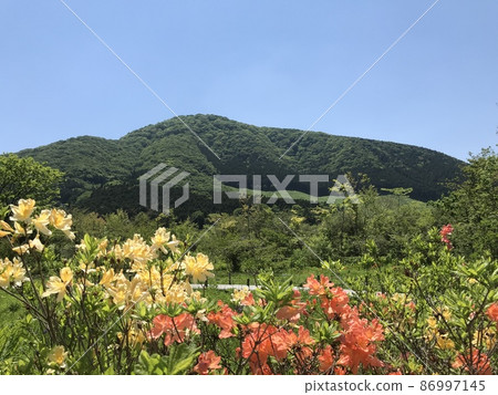 夏季箱根 86997145