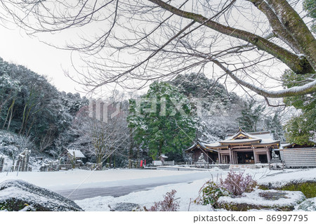 Gifu Gokoku Shrine in the snow <Gifu City, Gifu Prefecture> 86997795
