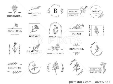 Botanical emblem. Minimalistic abstract logo with plant branches and flowers. Beautiful botany. Blossoms or leaves. Calligraphic icons. Blooming herbs. Vector floral rustic symbols set 86997857