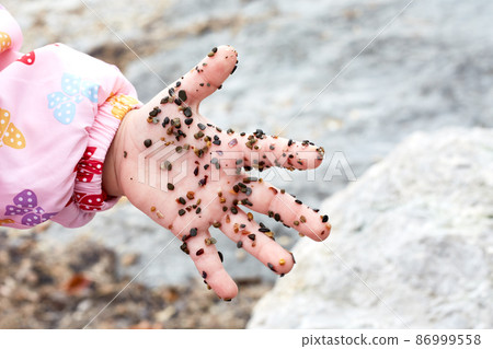 Child's hand in the sand, particles of shells and stones in the sand, dirty hands Child's hand in the sand, particles of shells and stones in the sand, dirty hands 86999558