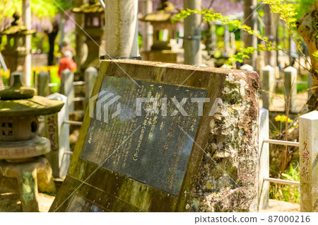 石碑“春季風景”歷史山田日吉神社風景日本，熊本縣玉名市紫藤花 87000216
