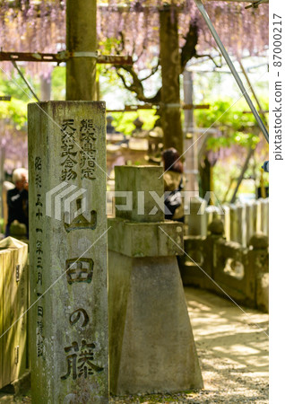 石碑“春季風景”歷史山田日吉神社風景日本，熊本縣玉名市紫藤花 87000217