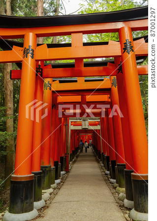 Sunny view of the Senbon Torii of Fushimi Inari-taisha 87001297