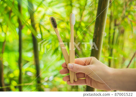 Bamboo toothbrush on a background of green growing bamboo 87001522
